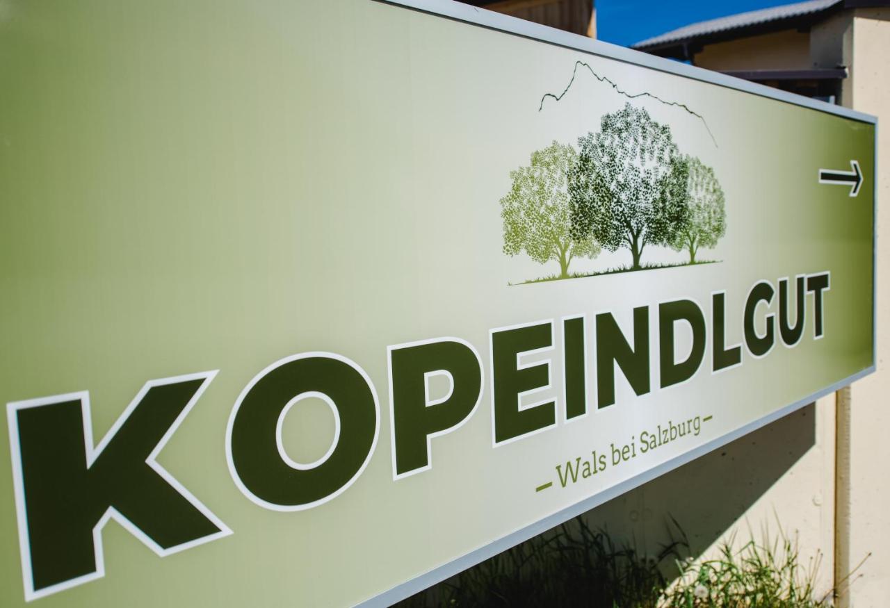 Kopeindlgut Apartments Wals-Siezenheim Ngoại thất bức ảnh